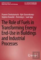 The Role Of Fuels In Transforming Energy End-Use In Buildings And Industrial Processes