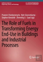 The Role Of Fuels In Transforming Energy End-Use In Buildings And Industrial Processes
