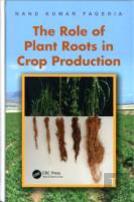 The Role Of Plant Roots In Crop Production
