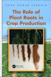 The Role Of Plant Roots In Crop Production