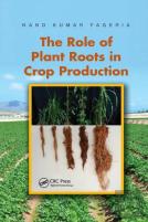 The Role Of Plant Roots In Crop Production