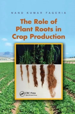 Bertrand.pt - The Role Of Plant Roots In Crop Production