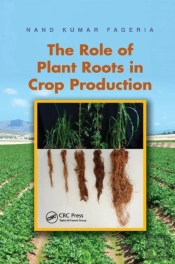 The Role Of Plant Roots In Crop Production