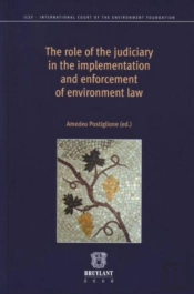 The Role Of The Judiciary In The Implementation And Enforcement Of Environment Law