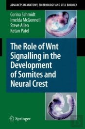 The Role Of Wnt Signalling In The Development Of Somites And Neural Crest