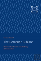 The Romantic Sublime