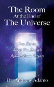 The Room At The End Of The Universe