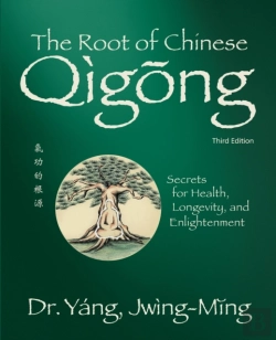 Bertrand.pt - The Root Of Chinese Qigong