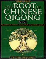 The Root Of Chinese Qigong