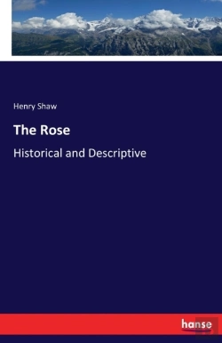Bertrand.pt - The Rose