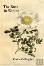 The Rose In Winter