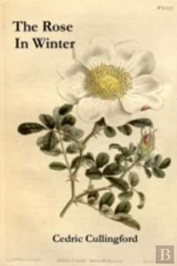 Bertrand.pt - The Rose In Winter