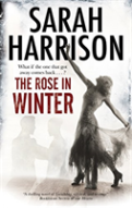 The Rose In Winter