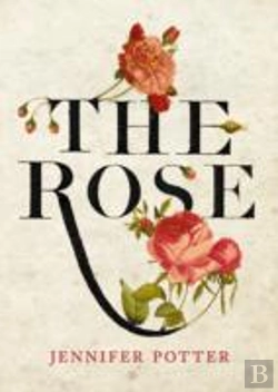 Bertrand.pt - The Rose