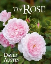 The Rose Second Edition /Anglais