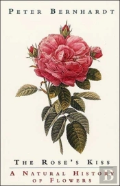 The Rose'S Kiss