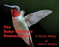 Bertrand.pt - The Ruby-Throated Hummingbird
