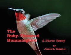The Ruby-Throated Hummingbird