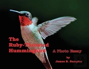 The Ruby-Throated Hummingbird