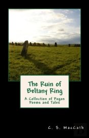 The Ruin Of Beltany Ring