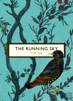 Bertrand.pt - The Running Sky (The Birds And The Bees)