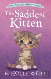 The Saddest Kitten