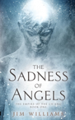 The Sadness Of Angels