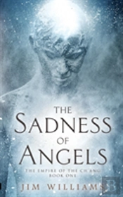 The Sadness Of Angels