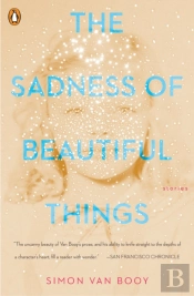 The Sadness Of Beautiful Things