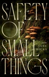 The Safety Of Small Things