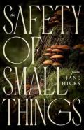 The Safety Of Small Things