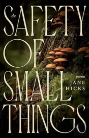 The Safety Of Small Things