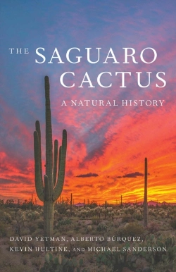 Bertrand.pt - The Saguaro Cactus