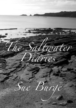 Bertrand.pt - The Saltwater Diaries