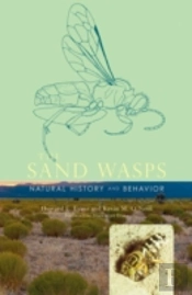 The Sand Wasps