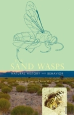 Bertrand.pt - The Sand Wasps