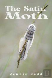 The Satin Moth