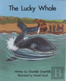 The Sb15a Lucky Whale