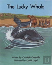 The Sb15a Lucky Whale