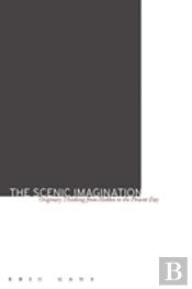 The Scenic Imagination