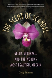 The Scent Of Scandal