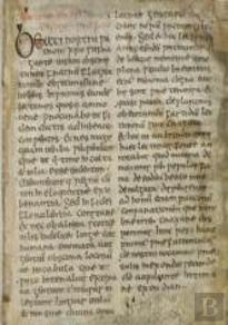 The Schaffhausen Adomnan