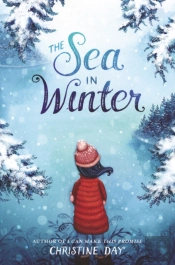The Sea In Winter