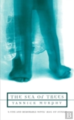 Bertrand.pt - The Sea Of Trees