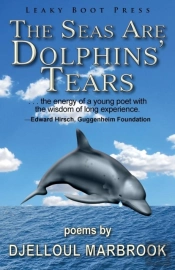 The Seas Are Dolphins' Tears