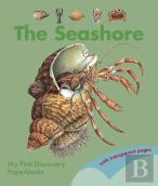 The Seashore