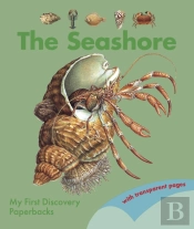 The Seashore