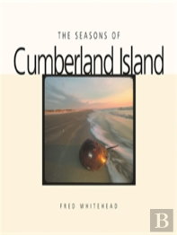The Seasons Of Cumberland Island