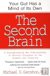 The Second Brain