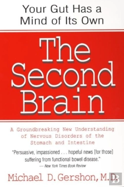 Bertrand.pt - The Second Brain